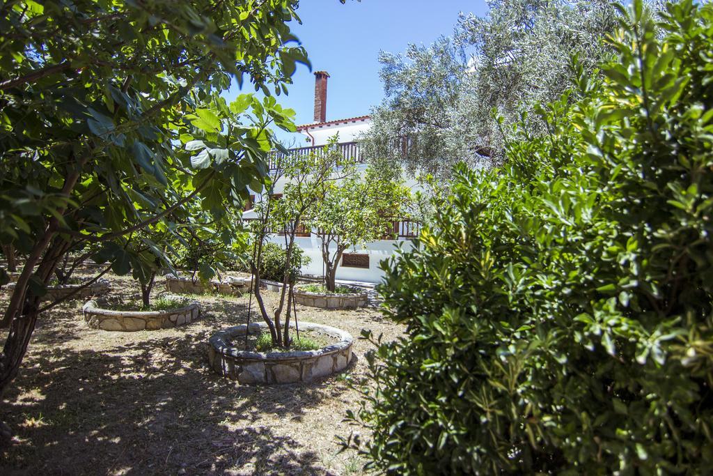 Naftilos Skiathos Ngoại thất bức ảnh
